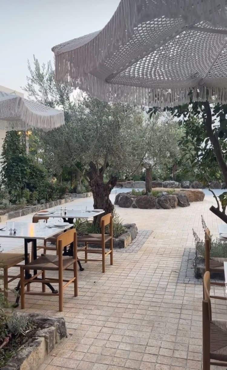 פרויקט עיצוב מלון פרא בוטיק